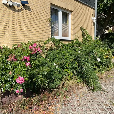 Old Huesung - Muz321 By Interhome Appartement