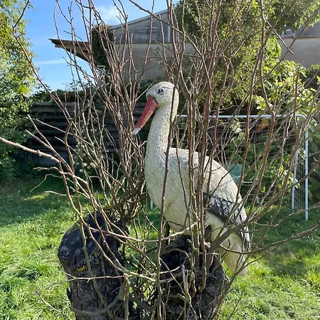 Old Huesung - Muz321 By Interhome * Mirow